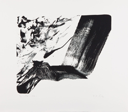 TAN
1992
Lithografie
70 x 80 cm
Auflage: 15 num. Exemplare
WVZ 116