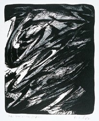 BLOPH I
1997
Lithografie
80 x 66,5 cm
Auflage: 40 num. /5 EA Exemplare
WVZ 157 I