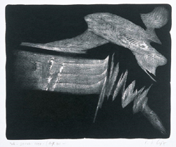 BELTOPH
1997
Lithografie
70 x 80 cm
Auflage: 40 num. /5 EA Exemplare
WVZ 159