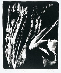 SPRENG III
1998
Lithografie
75 x 65 cm
Auflage: 40 num. /5 EA Exemplare
WVZ 163