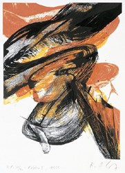 KOLPHOO I
1999
Lithografie
42 x 35 cm
Auflage: 60 num. /10 EA /40 HC Exemplare
WVZ 186